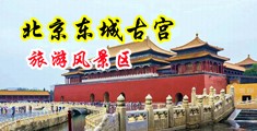 调教D罩胸校花脱短裙作文中国北京-东城古宫旅游风景区